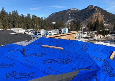 Storm proof-Roofing-membrane-IKO-shingles