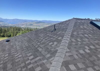 Stormproof Roofing grey roof with skylight